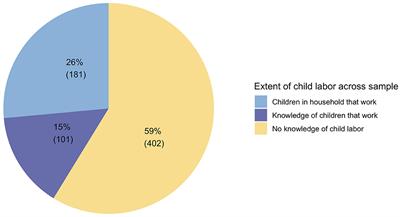 Child Labor Among Syrian Refugees in Turkey